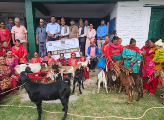 Distribution of goats to thirty farmers